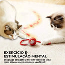 Bola Inteligente com Sensor para Gato - Patinha Feliz®