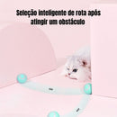 Bola Mágica Rolante Automática para Gatos – Patinha Feliz®