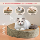 Cama com design côncavo e superfície de sisal - Patinha Feliz®