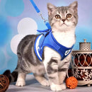 Coleira Peitoral com Guia para Gatos - Patinha Feliz®