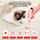 Laser para Gatos com Led - Patinha Feliz®