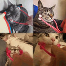 Massageador de Massagem e Higiene para Gatos - Patinha Feliz®