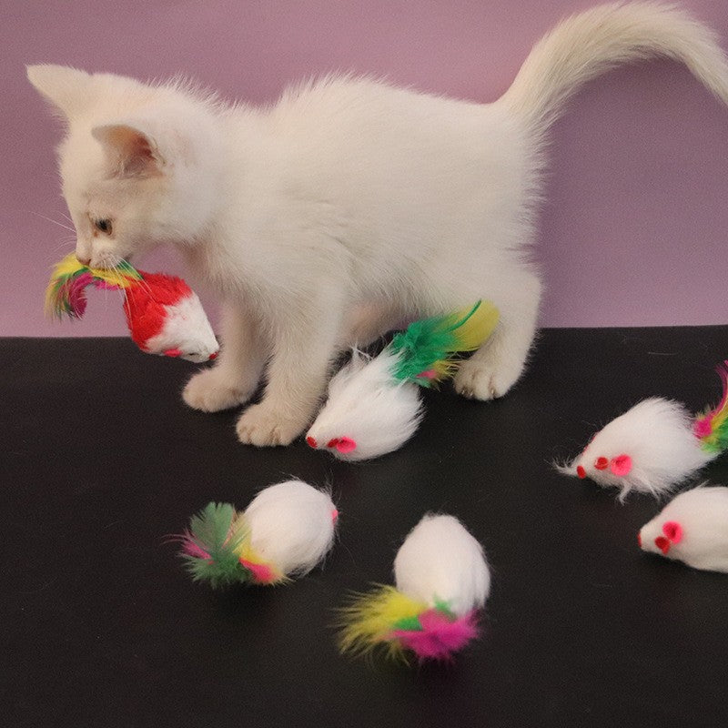 Ratinho de Pelúcia com Pena para Gatos - Patinha Feliz®