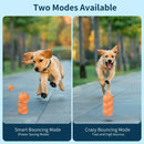 description_selected4