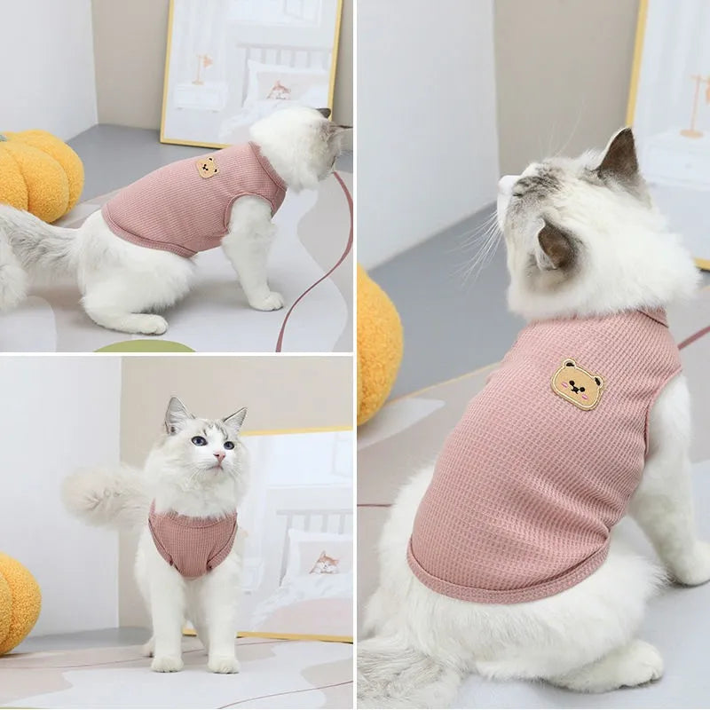 Colete Urso Minimalista – Patinha Feliz®