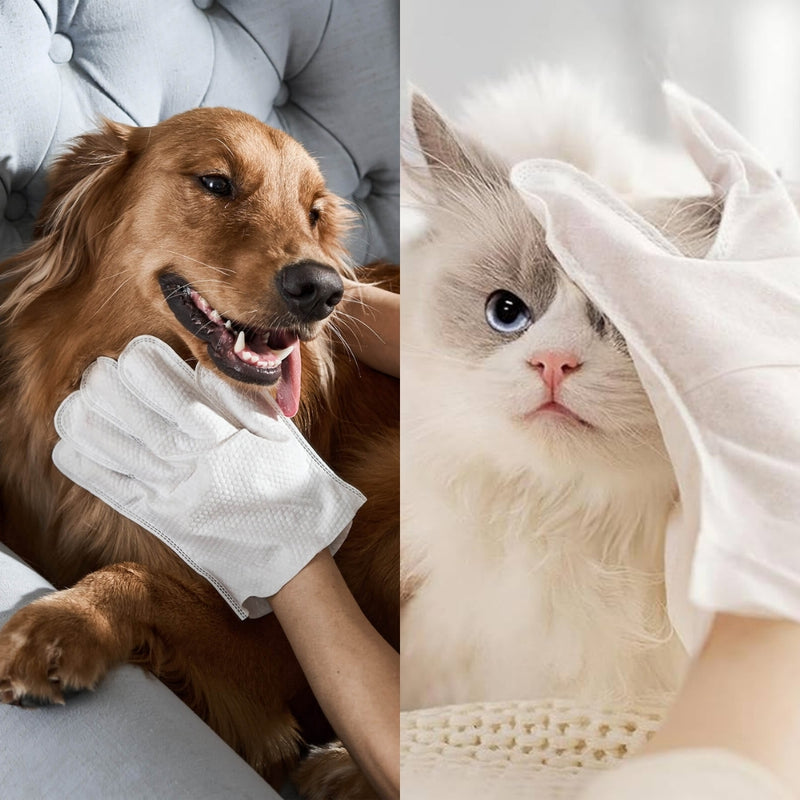 Luva Umedecida Banho Seco para Cães e Gatos - 10 LUVAS POR PACOTE