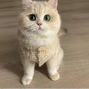 Colete Lambhair de Lã Macia – Patinha Feliz®