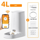 Alimentador Automático Inteligente WiFi para Gatos - Patinha Feliz®