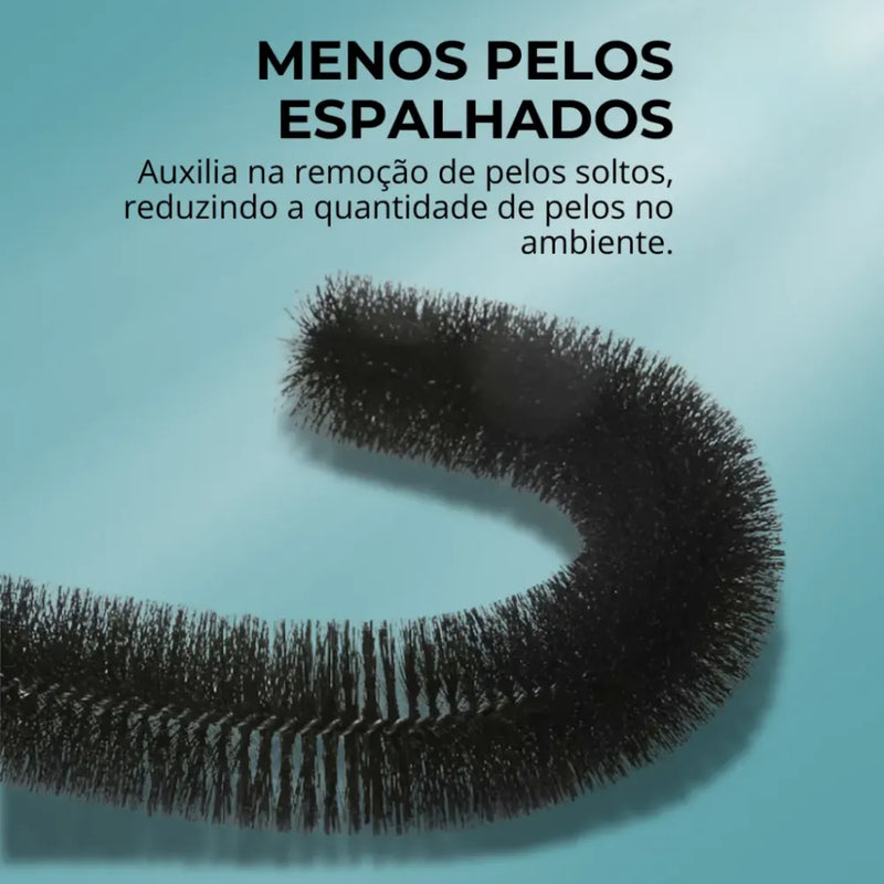 Escova Arranhador em Arco para Gatos - Patinha Feliz®