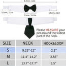 description_selected4