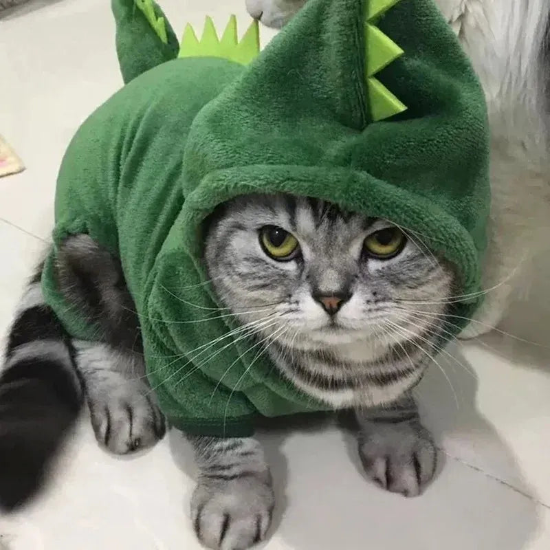 Fantasia Dino Divertido - Patinha Feliz®