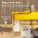 description_selected1