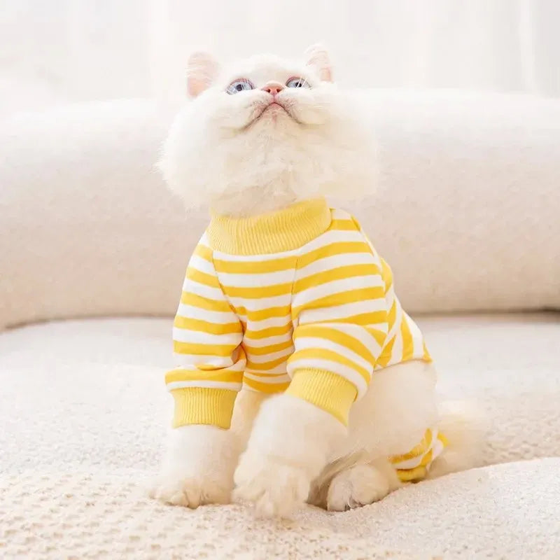 Terno de Quatro Patas com Ventilação Ativa – Patinha Feliz®