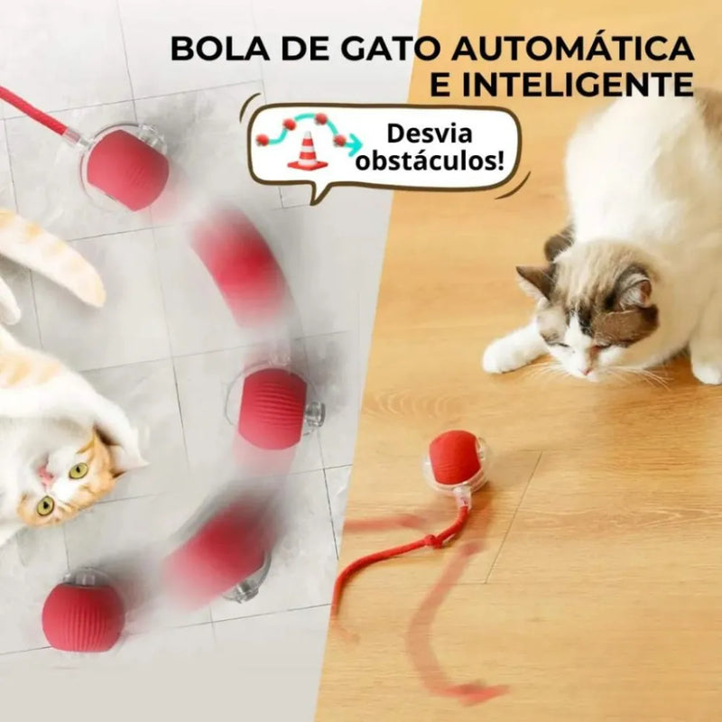 Bola Inteligente com Sensor para Gato - Patinha Feliz®
