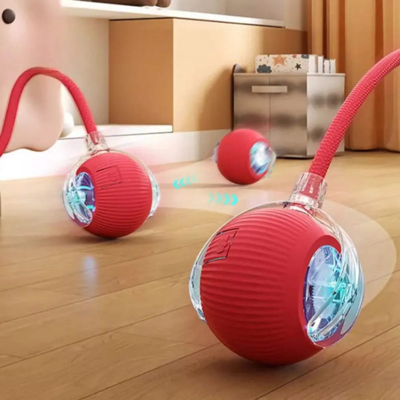 Bola Inteligente com Sensor para Gato - Patinha Feliz®