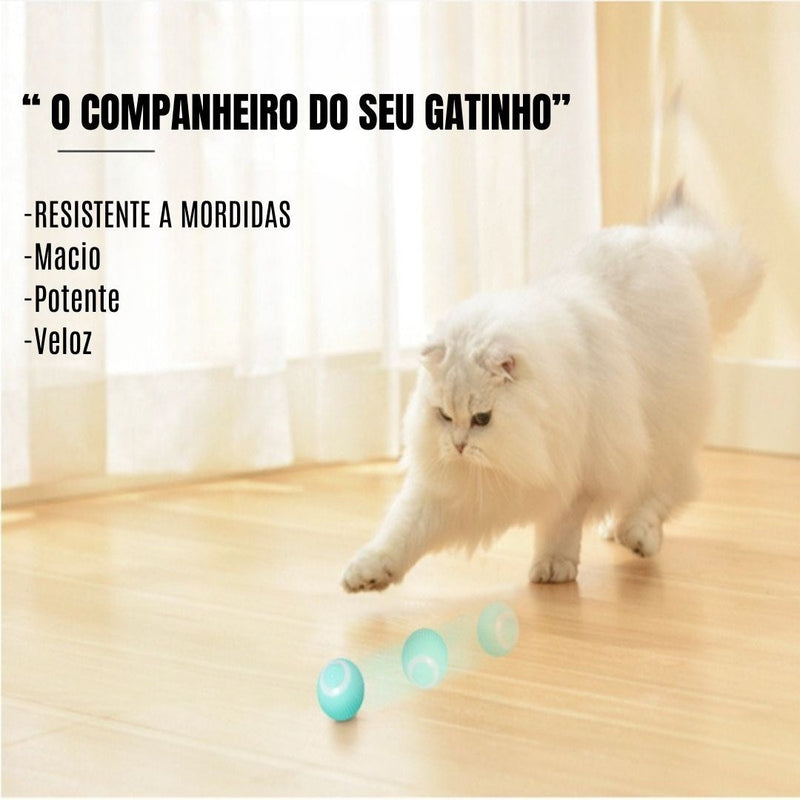 Bola Mágica Rolante Automática para Gatos – Patinha Feliz®