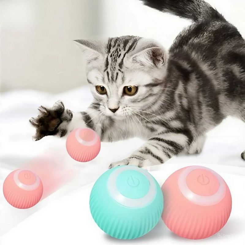 Bola Mágica Rolante Automática para Gatos – Patinha Feliz®