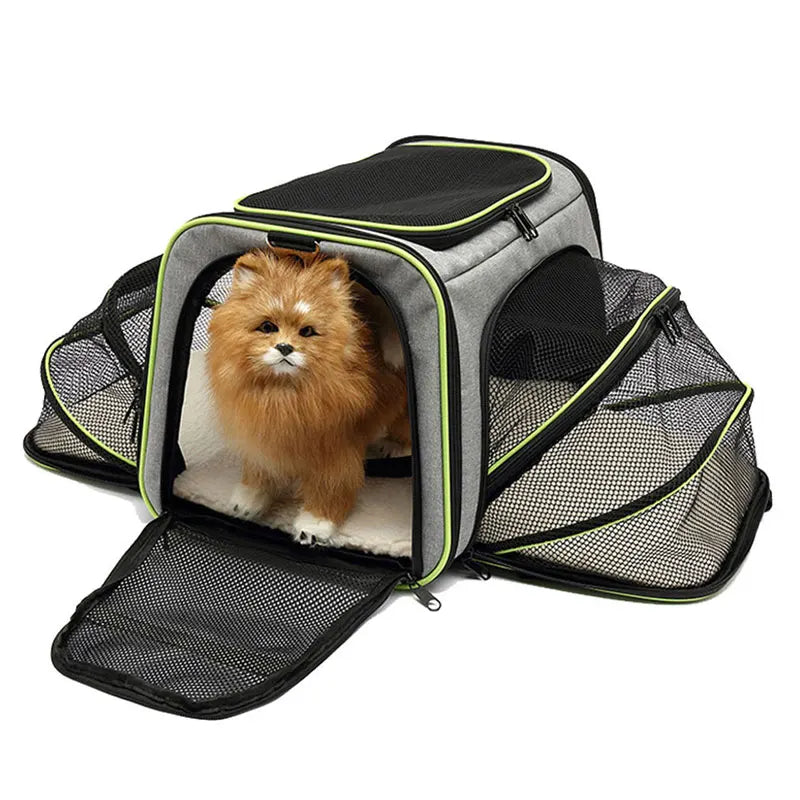 Bolsa de Transporte Dobrável para Gatos - Patinha Feliz®