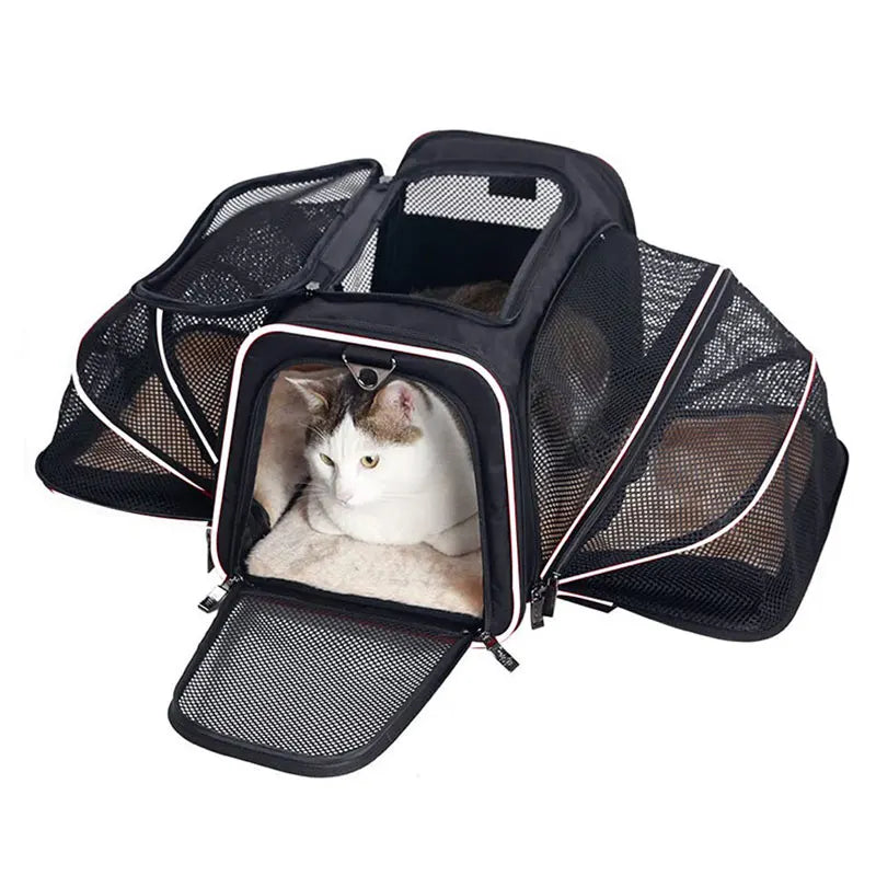 Bolsa de Transporte Dobrável para Gatos - Patinha Feliz®