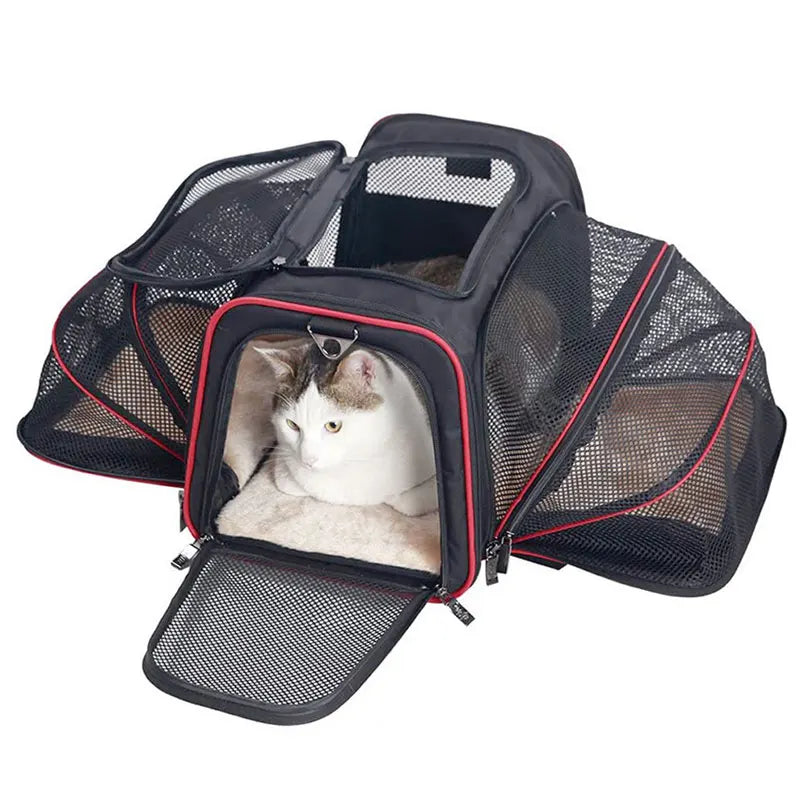 Bolsa de Transporte Dobrável para Gatos - Patinha Feliz®