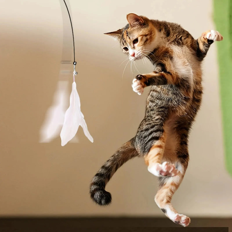 Brinquedo Interativo com Pena e Sino para Gatos - Patinha Feliz®