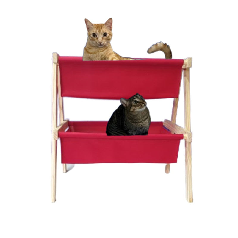 Cama Organibox em Madeira Pinus - Patinha Feliz®