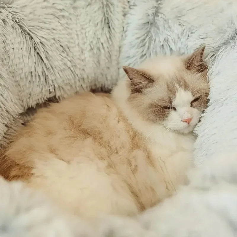 Cama de Pelúcia com Túnel para Gatos - Patinha Feliz®