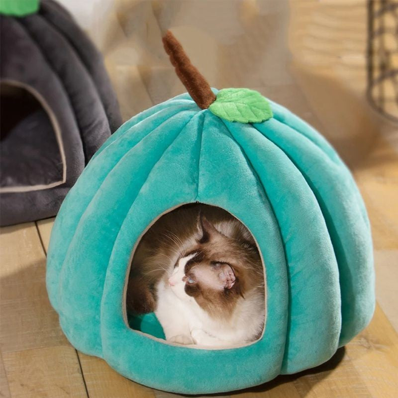 Cama de Pelúcia Formato abobora para Gatos - Patinha Feliz®