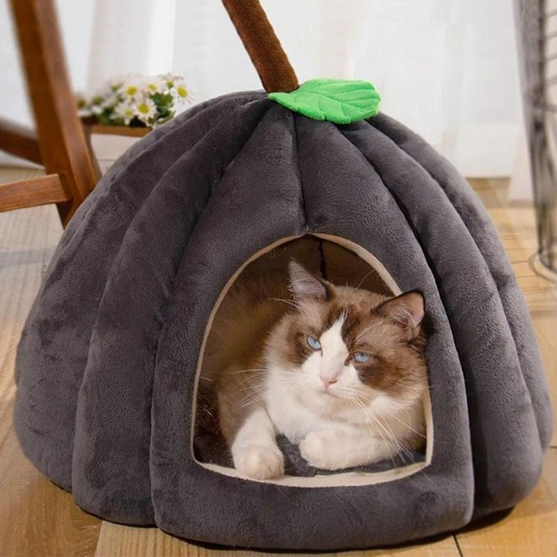 Cama de Pelúcia Formato abobora para Gatos - Patinha Feliz®
