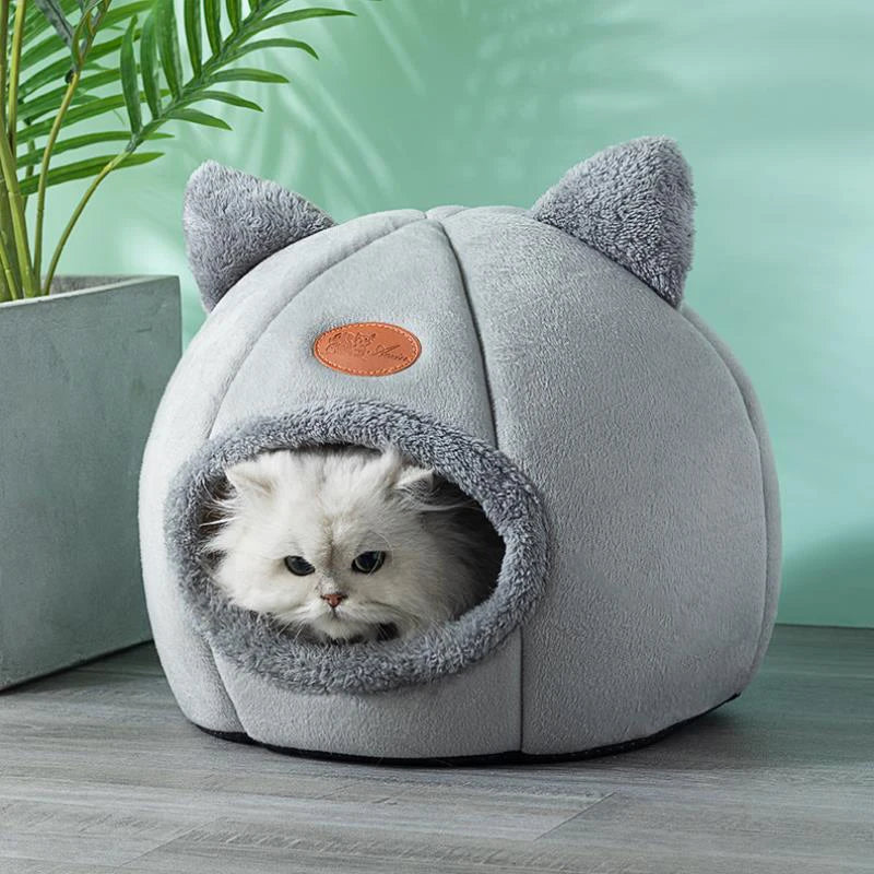 Casa Esconderijo Fechada para Gatos - Patinha Feliz®