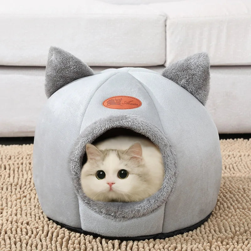 Casa Esconderijo Fechada para Gatos - Patinha Feliz®