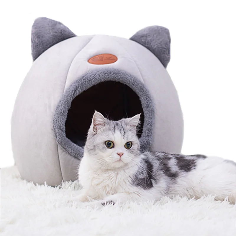 Casa Esconderijo Fechada para Gatos - Patinha Feliz®