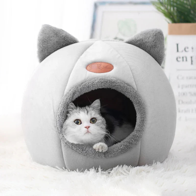 Casa Esconderijo Fechada para Gatos - Patinha Feliz®