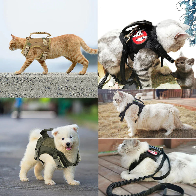 Coleira Ajustável com Alça para Gatos - Patinha Feliz®