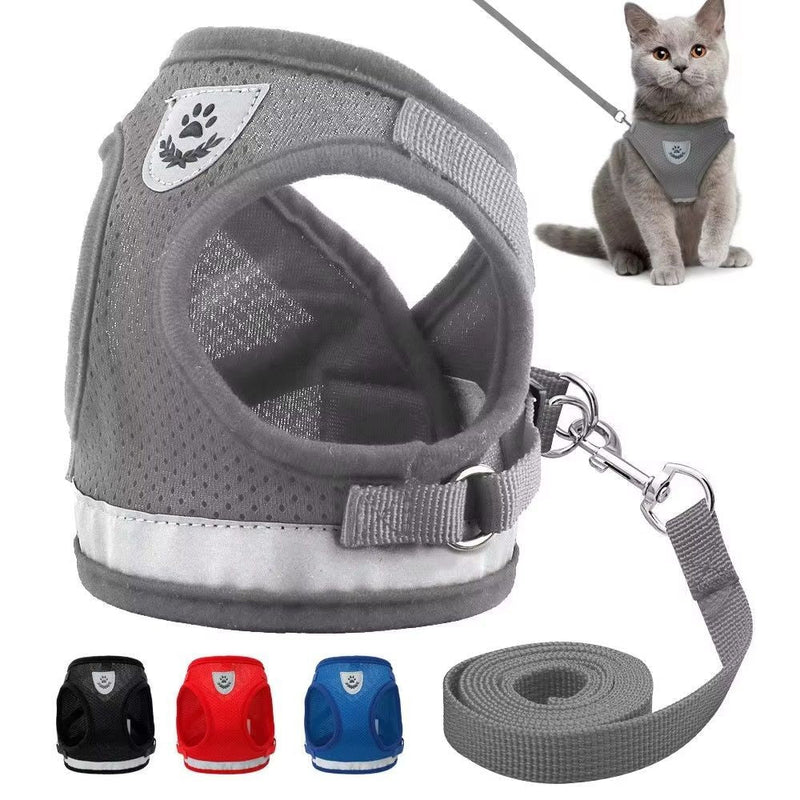 Coleira Peitoral com Guia para Gatos - Patinha Feliz®
