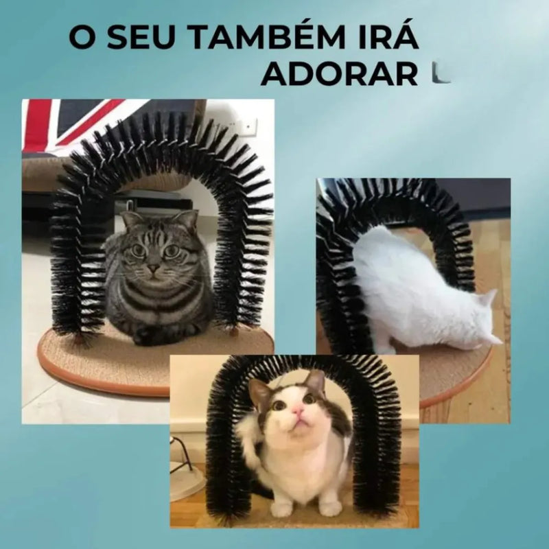 Escova Arranhador em Arco para Gatos - Patinha Feliz®