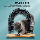 Escova Arranhador em Arco para Gatos - Patinha Feliz®