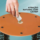 Escova Arranhador em Arco para Gatos - Patinha Feliz®