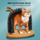 Escova Arranhador em Arco para Gatos - Patinha Feliz®