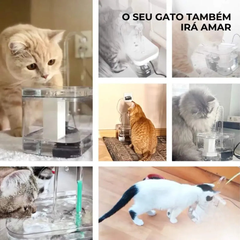 Fonte de Água Silenciosa com Filtro para Gatos - Patinha Feliz®