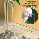 Fonte de Água Silenciosa com Filtro para Gatos - Patinha Feliz®