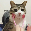 Massageador de Massagem e Higiene para Gatos - Patinha Feliz®