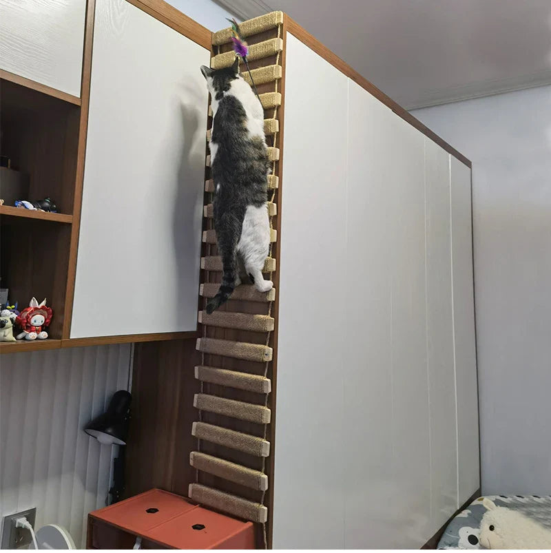 Ponte Escalada de Parede para Gatos - Patinha Feliz®