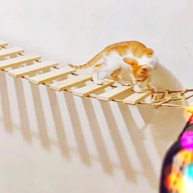 Ponte Escalada de Parede para Gatos - Patinha Feliz®