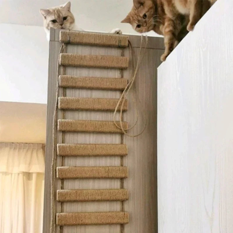 Ponte Escalada de Parede para Gatos - Patinha Feliz®