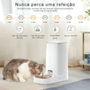 Alimentador Automático Inteligente WiFi para Gatos - Patinha Feliz®