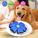 description_selected4
