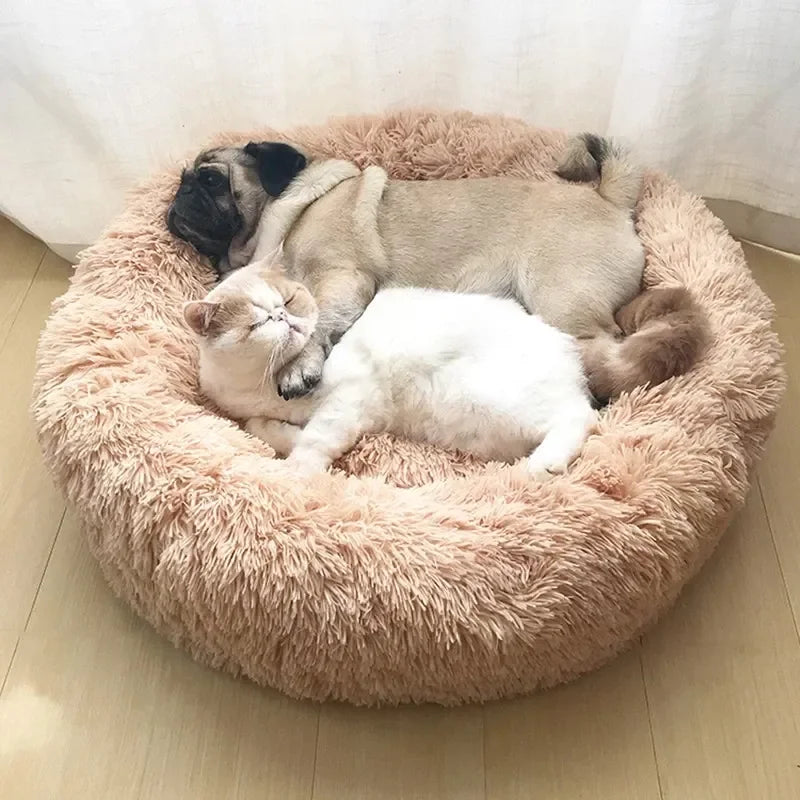 Cama Redonda de Pelúcia para Gatos - Patinha Feliz®