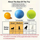 description_selected4