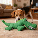 description_selected4